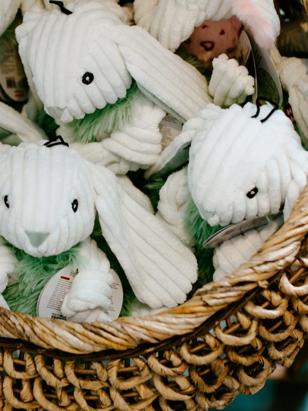 LakeDogs Tegernsee | Concept Store | Premium Hundebedarf, ausgewählte Home & Living Accessoires, selektierte Futtermarken, Leinen, Geschirre, Halsbänder, Betten, Näpfe & Groomer Pflegeprodukte