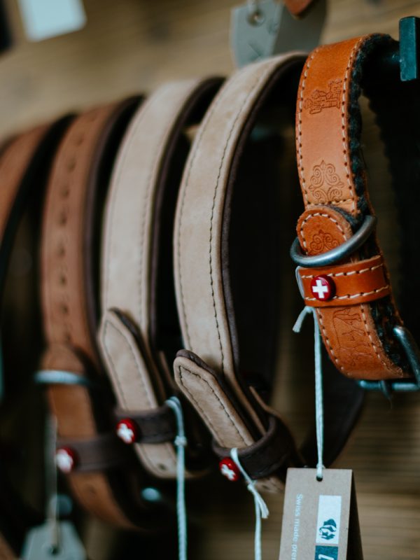 LakeDogs Tegernsee | Concept Store | Premium Hundebedarf, ausgewählte Home & Living Accessoires, selektierte Futtermarken, Leinen, Geschirre, Halsbänder, Betten, Näpfe & Groomer Pflegeprodukte