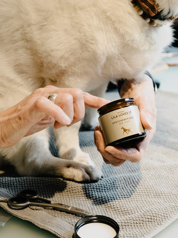 LakeDogs Tegernsee | Groomer Studio | Margit Wälder