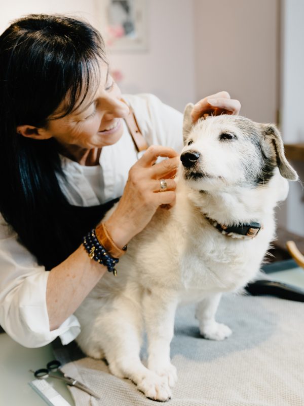 LakeDogs Tegernsee | Groomer Studio