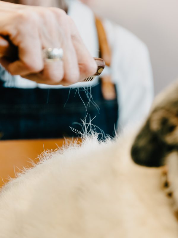 LakeDogs Tegernsee | Groomer Studio | Margit Wälder