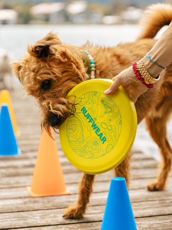 LakeDogs Tegernsee | Training Base | Hundetraining, Margit Wälder