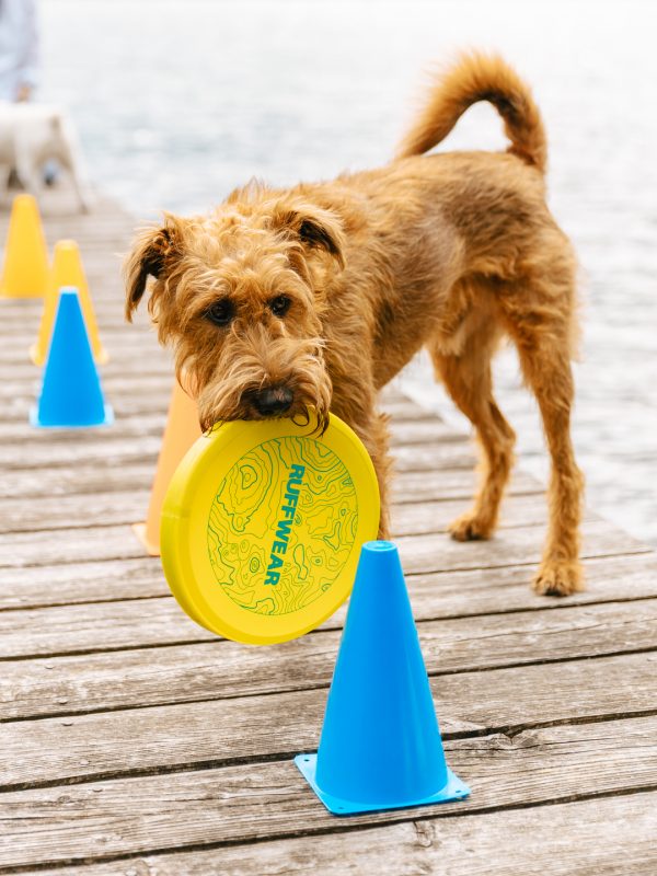 LakeDogs Tegernsee | Training Base | Hundetraining, Margit Wälder