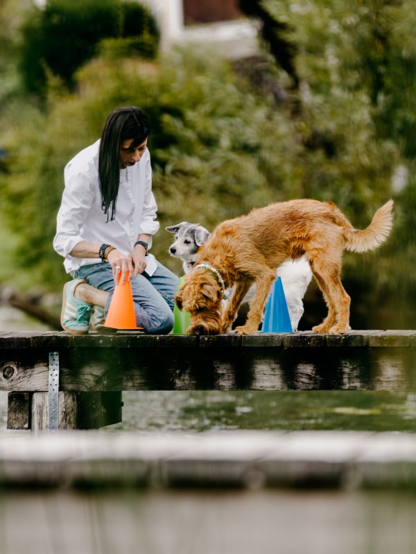 LakeDogs Tegernsee | Training Base | Hundetraining, Margit Wälder