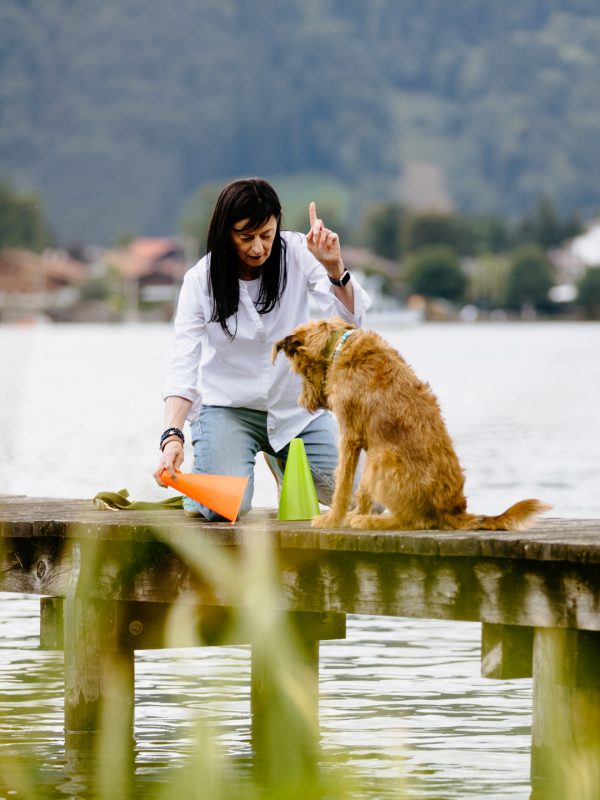 LakeDogs Tegernsee | Training Base | Hundetraining, Margit Wälder