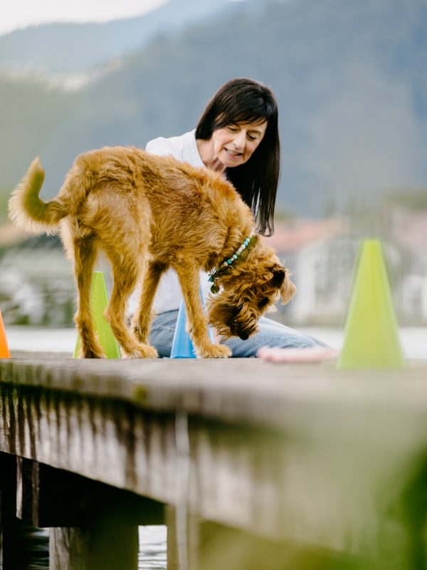 LakeDogs Tegernsee | Training Base | Hundetraining, Margit Wälder