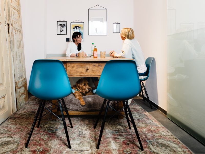 LakeDogs Tegernsee | Training Base, Anamnese | Margit Wälder