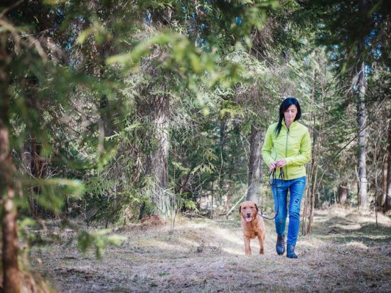 LakeDogs Hundetraining mit Margit Wälder, Outdoor Hundetraining, Fährtensuche